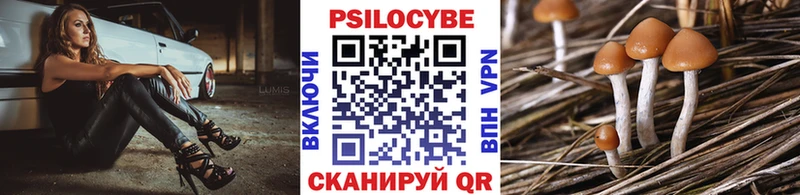 Галлюциногенные грибы мухоморы  где купить наркоту  Питкяранта 